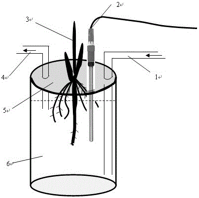一種用于測定水培植物根系富氧能力的裝置的制造方法附圖